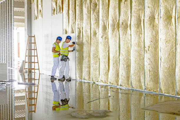 Best Commercial Insulation in Mesa, AZ